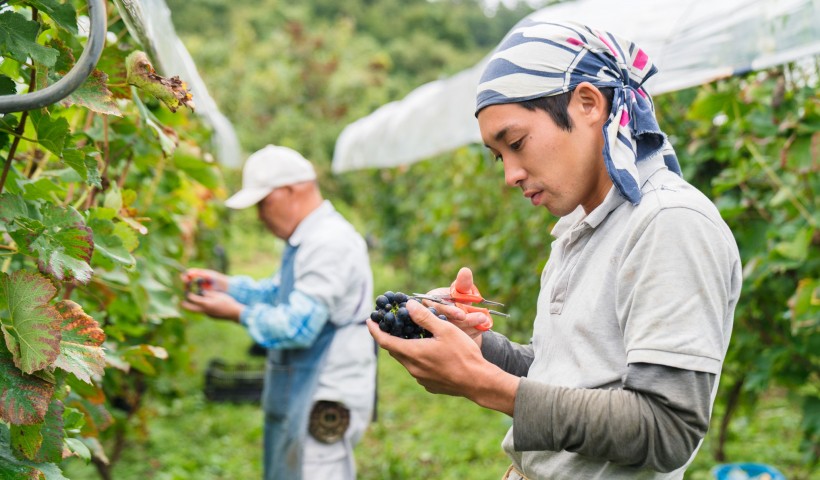 『衰退産業でも稼げます「代替わりイノベーション」のセオリー』――地方再生の鍵は衰退産業にあり！